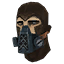 Shadow Wolf's Face Mask