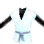 Ryu's Karate Shirt