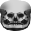 Bixxy's Skeleton Mask