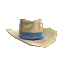 Haggard's Heroic Hat