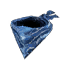 Long-shot McGee's Blue Scarf
