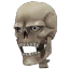 Reaper's Skeletal Eye-Skull