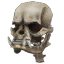 Reaper's Skeletal Bulldog Skull