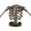 Reaper's Skeletal Torso