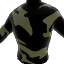 Camouflage Paint